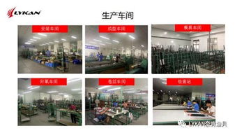 一條價(jià)值萬元的魚與千金一字 Lykan廣告語征集解析